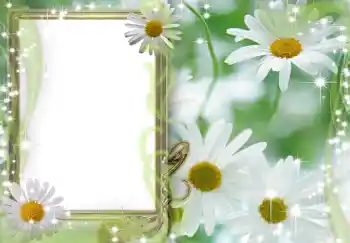 Photo effect from category Women's photo frames № 202