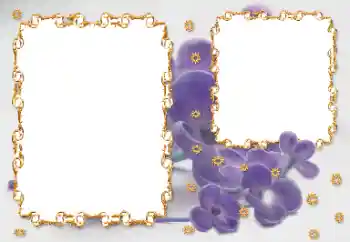Photo effect from category Women's photo frames № 203262 Photo effect from category Women's photo frames № 203262