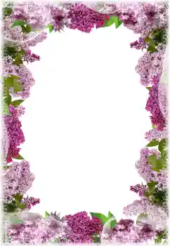 Photo effect from category Women's photo frames № 203297 Photo effect from category Women's photo frames № 203297