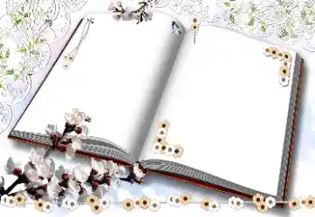 Photo effect from category Women's photo frames № 203311 Photo effect from category Women's photo frames № 203311