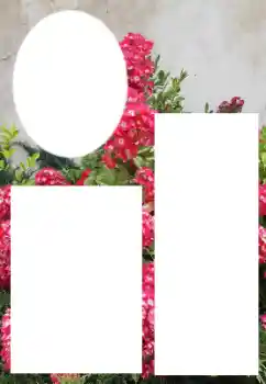 Photo effect from category Women's photo frames № 205800 Photo effect from category Women's photo frames № 205800