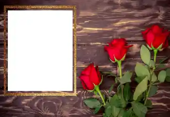 Photo effect from category Women's photo frames № 206175 Photo effect from category Women's photo frames № 206175