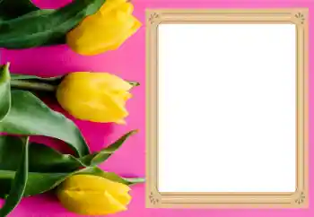 Photo effect from category Women's photo frames № 206177 Photo effect from category Women's photo frames № 206177