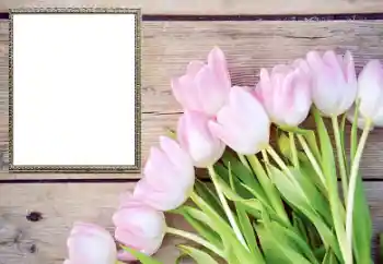 Photo effect from category Women's photo frames № 206178 Photo effect from category Women's photo frames № 206178