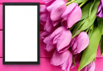 Photo effect from category Women's photo frames № 206179 Photo effect from category Women's photo frames № 206179