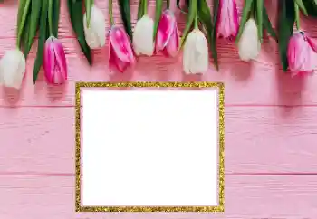 Photo effect from category Women's photo frames № 206181 Photo effect from category Women's photo frames № 206181