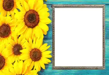 Photo effect from category Women's photo frames № 206182 Photo effect from category Women's photo frames № 206182
