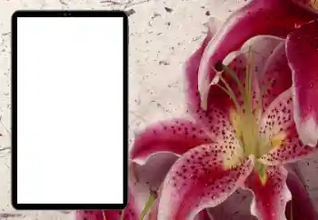 Photo effect from category Women's photo frames № 206184 Photo effect from category Women's photo frames № 206184