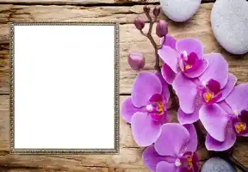 Photo effect from category Women's photo frames № 206185 Photo effect from category Women's photo frames № 206185