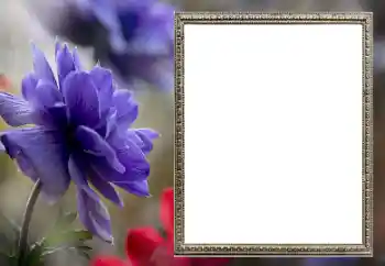 Photo effect from category Women's photo frames № 206189 Photo effect from category Women's photo frames № 206189