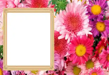 Photo effect from category Women's photo frames № 206193 Photo effect from category Women's photo frames № 206193