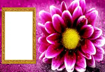 Photo effect from category Women's photo frames № 206195 Photo effect from category Women's photo frames № 206195
