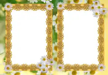 Photo effect from category Women's photo frames № 21191