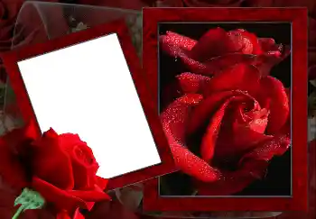 Photo effect from category Women's photo frames № 2157