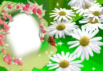 Photo effect from category Women's photo frames № 2160