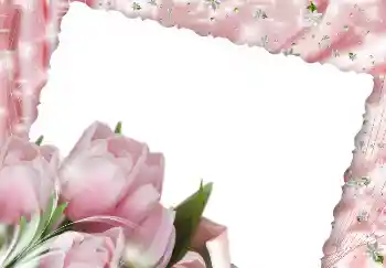 Photo effect from category Women's photo frames № 2171