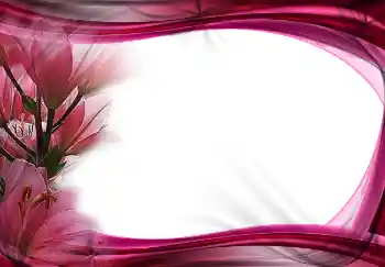 Photo effect from category Women's photo frames № 2172