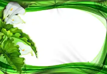 Photo effect from category Women's photo frames № 2177