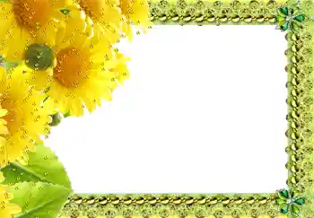 Photo effect from category Women's photo frames № 217