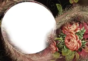 Photo effect from category Women's photo frames № 22185