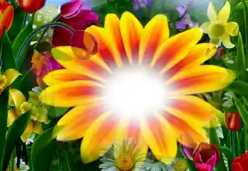 Photo effect from category Women's photo frames № 2295