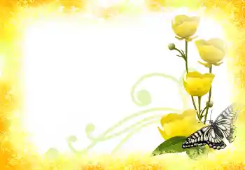 Photo effect from category Women's photo frames № 2390