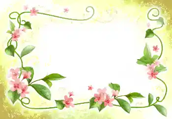 Photo effect from category Women's photo frames № 2398