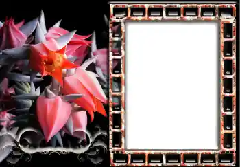 Photo effect from category Women's photo frames № 241