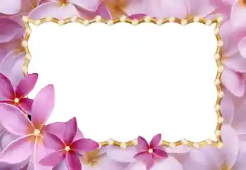 Photo effect from category Women's photo frames № 24214