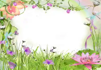 Photo effect from category Women's photo frames № 24240