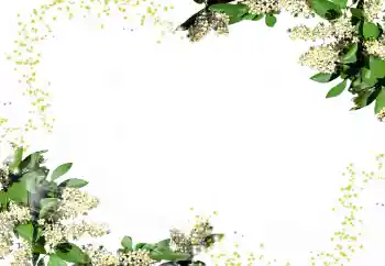 Photo effect from category Women's photo frames № 24247