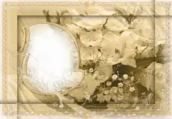 Photo effect from category Women's photo frames № 24399