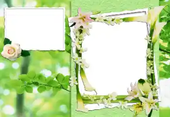 Photo effect from category Women's photo frames № 24444