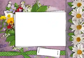 Photo effect from category Women's photo frames № 24462