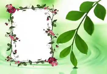 Photo effect from category Women's photo frames № 24558