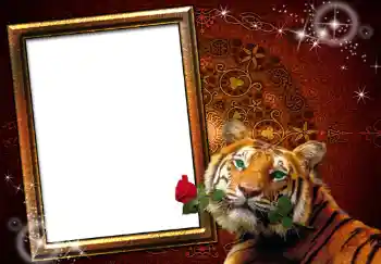 Photo effect from category Women's photo frames № 251