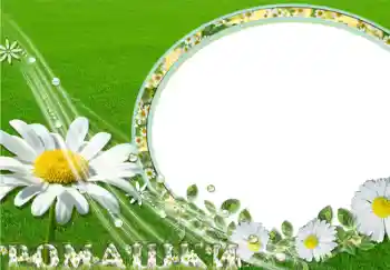 An inscription on the frame: Ромашки.