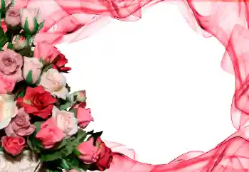 Photo effect from category Women's photo frames № 26416