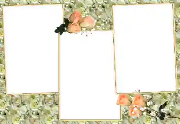 Photo effect from category Women's photo frames № 26581