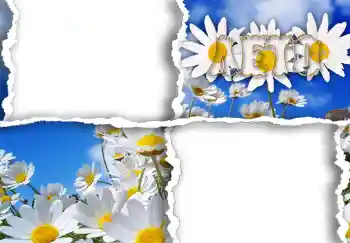 An inscription on the frame: Лето.