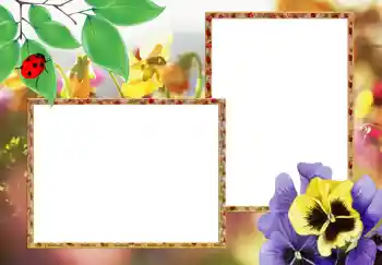 Photo effect from category Women's photo frames № 273