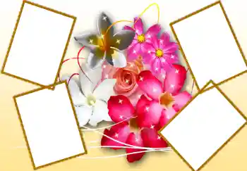 Photo effect from category Women's photo frames № 276