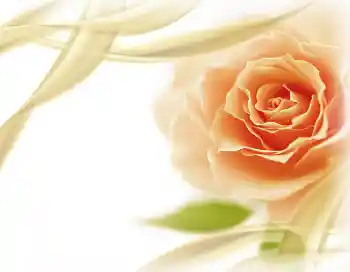 Photo effect from category Women's photo frames № 2801