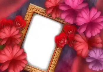 Photo effect from category Women's photo frames № 2919