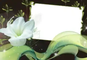 Photo effect from category Women's photo frames № 2920