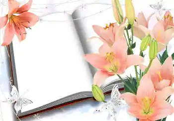 Photo effect from category Women's photo frames № 2985