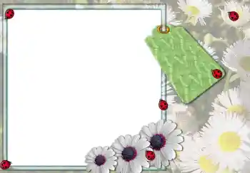 Photo effect from category Women's photo frames № 3103