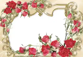 Photo effect from category Women's photo frames № 31765