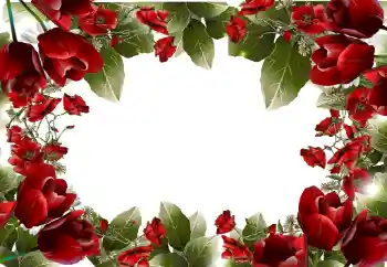 Photo effect from category Women's photo frames № 31814