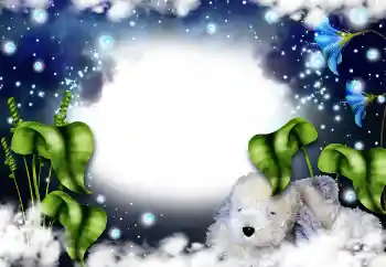 Photo effect from category Women's photo frames № 31821